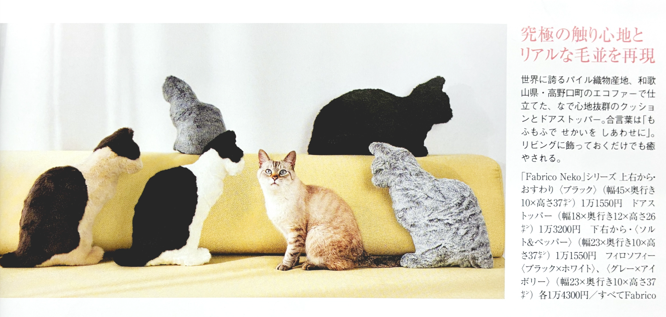家庭画報 Fabrico Neko シリーズ 掲載ページ